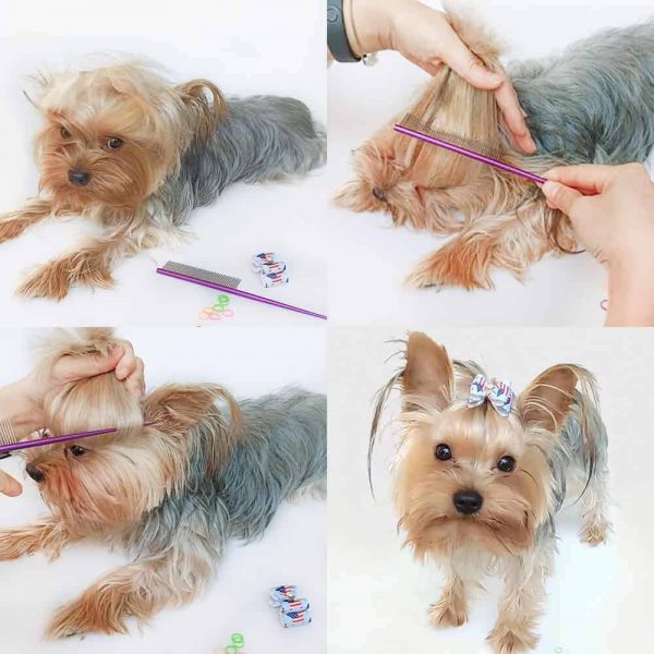 best brush for a yorkie